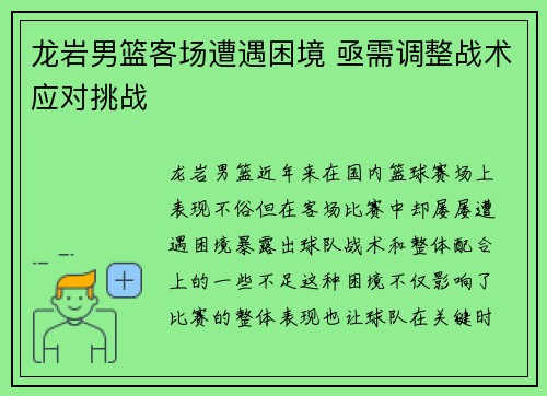 龙岩男篮客场遭遇困境 亟需调整战术应对挑战