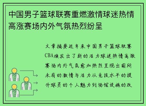 中国男子篮球联赛重燃激情球迷热情高涨赛场内外气氛热烈纷呈