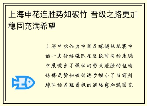 上海申花连胜势如破竹 晋级之路更加稳固充满希望