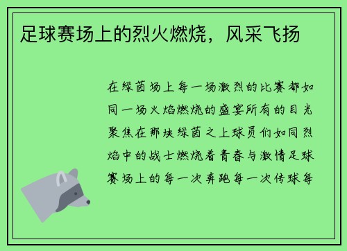 足球赛场上的烈火燃烧，风采飞扬